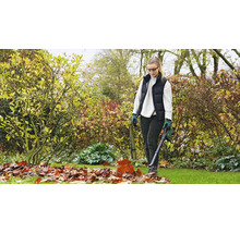 BOSCH Souffleur de feuilles sans fil 18V -130 Set