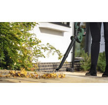 BOSCH Souffleur de feuilles sans fil 18V -130 Set