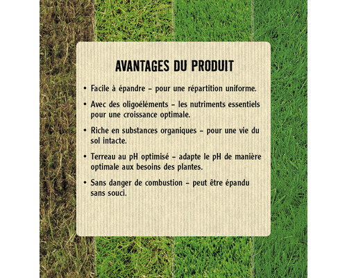 FloraSelf Select® Sable à gazon Humus sans tourbe 20 l