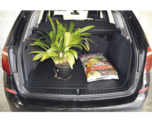 Un pot avec une plante et un sac de terreau dans le coffre d''une voiture.