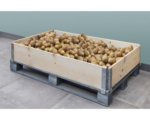 Caisse en bois remplie de pommes de terre sur une palette
