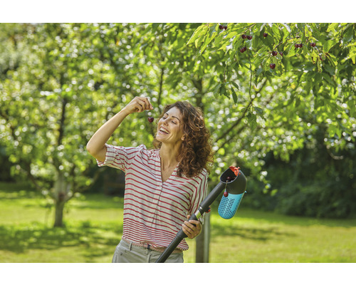 Frau pflückt Kirschen mit einem Obstpflücker im Garten
