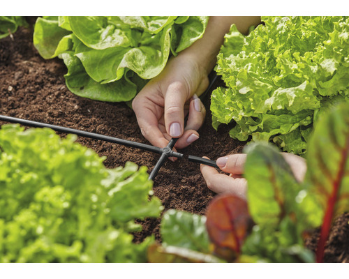Gros plan sur des mains fixant un connecteur sur un tuyau d''irrigation dans un potager.