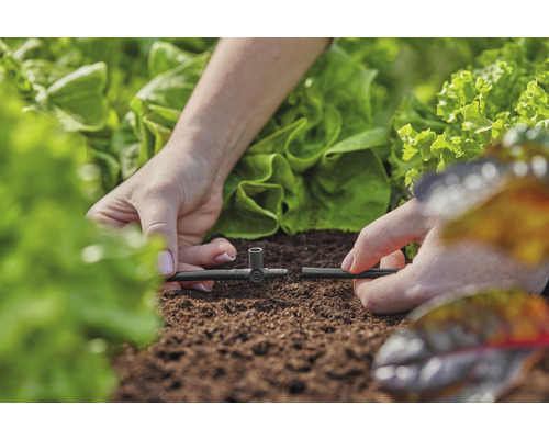 Bewässerungssystem Installation im Garten mit Salatpflanzen