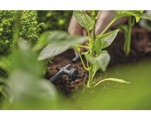 Arrosage goutte à goutte avec vanne de régulation et d''arrêt pour plantes