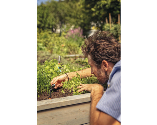 Un homme installe un système d''irrigation dans un parterre surélevé avec des herbes aromatiques et des plantes.