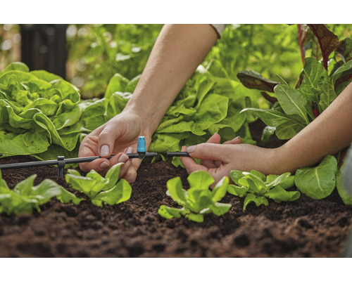 Installation d''un système d''irrigation dans le jardin potager