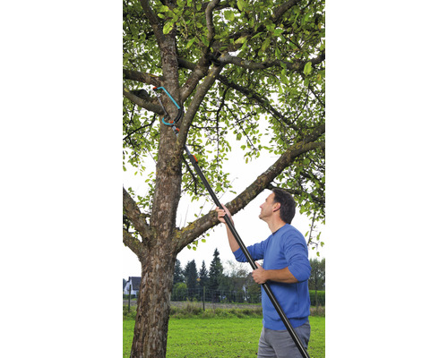 Un homme coupe des branches avec un ébrancheur sur un arbre dans le jardin.