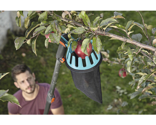 Apfelpflücker im Einsatz an einem Apfelbaum