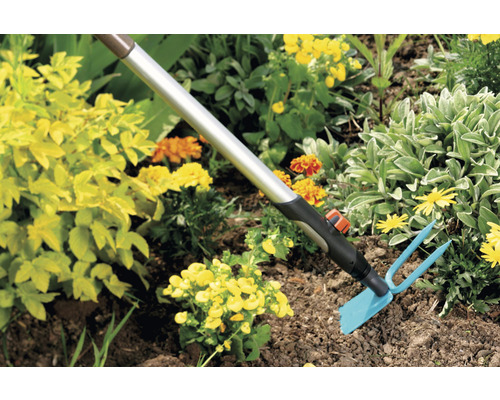 Gartenszene mit einer Gartenhacke zum Auflockern des Bodens zwischen Blumen