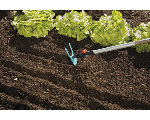 Gartenhacke im Einsatz neben Salatpflanzen im Beet.
