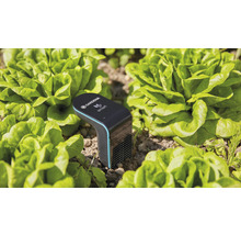 Smart Sensor GARDENA für Bodenfeuchte und Temperatur - Kompatibel mit SMART HOME by hornbach-thumb-4