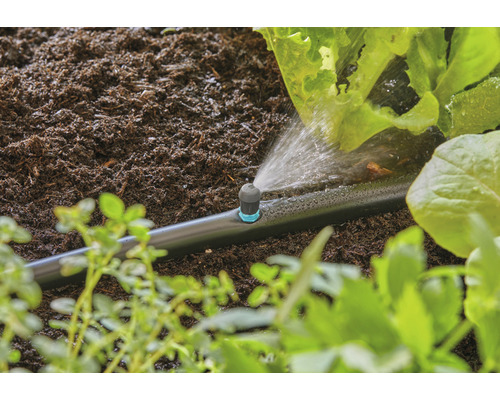 Système d''irrigation avec tuyau d''arrosage goutte à goutte dans le jardin
