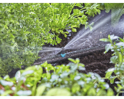 Système d''irrigation en cours d''utilisation entre des plantes dans le jardin