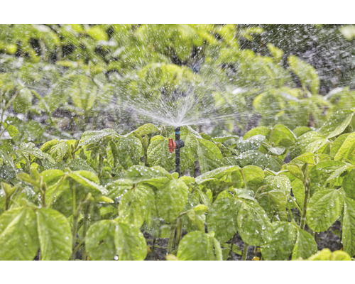 Système d''irrigation avec arroseur en utilisation pour l''irrigation de jardin