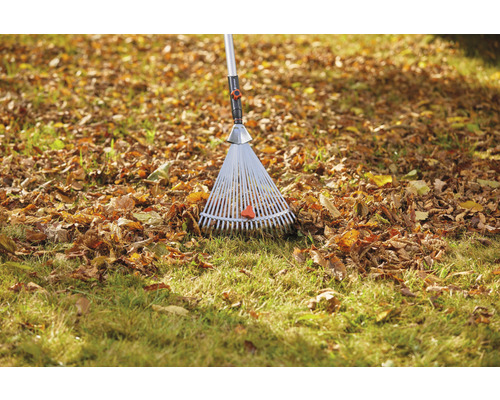 Laubbesen auf Rasen mit Laub