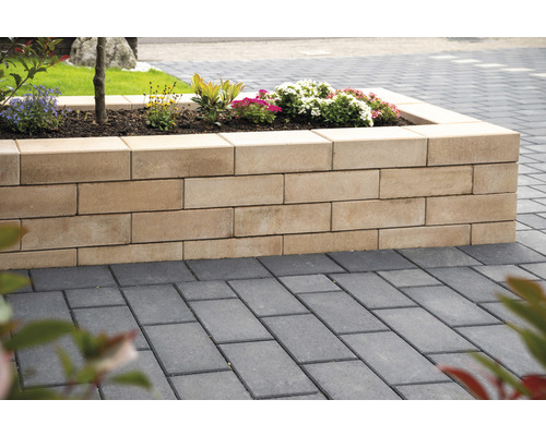 Bordure de parterre en pierres à planter et pavés