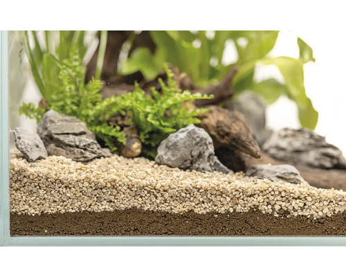 Aquarium mit Bodengrund, Pflanzen und Steinen