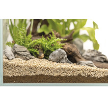 Aquarium mit Bodengrund, Steinen, Wurzelholz und Pflanzen