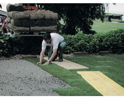 Homme posant du gazon en rouleau dans le jardin, rouleau de gazon sur palette