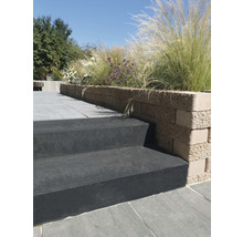Garten mit Treppe und bepflanzter Mauer