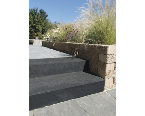 Escalier de jardin avec marches massives et mur planté