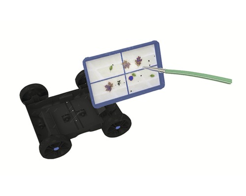 Robot de nettoyage de piscine avec panier filtrant et tuyau