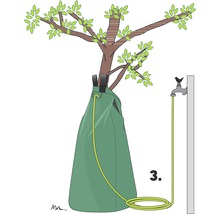 Illustration d''un arbre avec un sac d''arrosage et un tuyau d''arrosage connecté