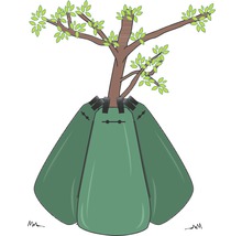 Illustration d''un arbre avec sac d''arrosage