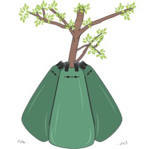 Arbre avec sac d''arrosage