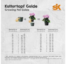 Kulturtopf-Ratgeber mit Größenvergleich für Übertöpfe und Kulturtöpfe, Soendgen Keramik Logo