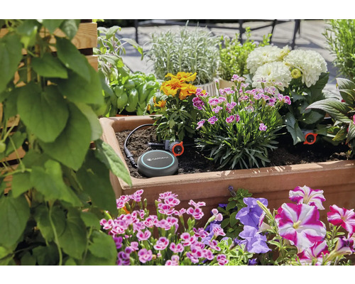 Système de contrôle d''irrigation intelligent Gardena dans une jardinière avec différentes plantes