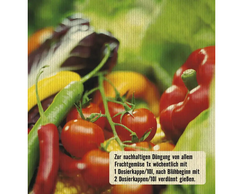 Gemüse-Arrangement mit Tomaten, Paprika und Salat