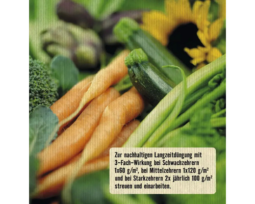 Gemüsebeet mit Karotten, Zucchini, Brokkoli und Artischocken