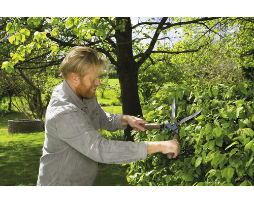 Un homme taille une haie avec un taille-haie dans le jardin.