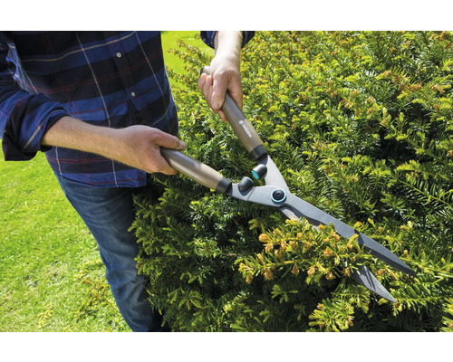 Une personne taille une haie avec un taille-haie.