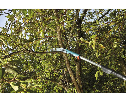 Scie de jardin télescopique coupant une branche