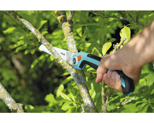 Scie de jardin en cours d''utilisation pour couper une branche