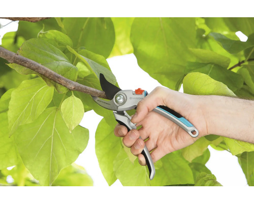 Un sécateur coupe une branche sur fond de feuilles vertes.