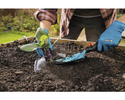 Person pflanzt Kohlrabi mit einer Gartenschaufel in ein Hochbeet.