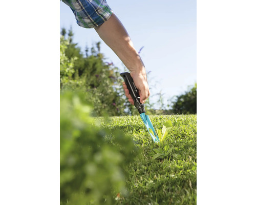 Gartenszene mit Hand die einen Unkrautstecher im Rasen benutzt