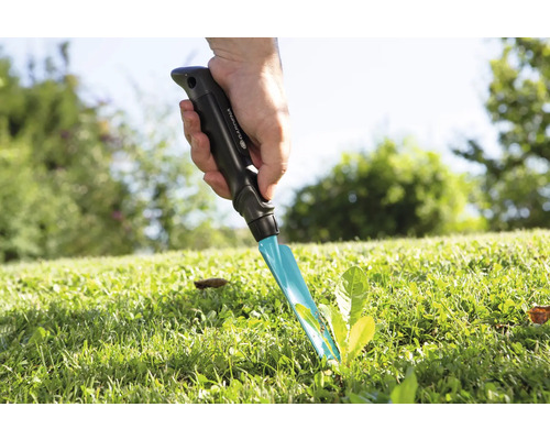 Gartenstecher im Einsatz zum Entfernen von Unkraut im Rasen.