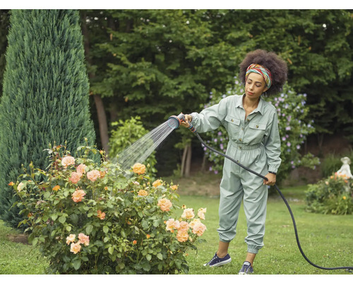 Une femme arrose des roses avec un tuyau d''arrosage dans le jardin.