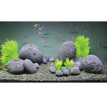 Aquarium mit Fischen, Steinen und Kunstpflanzen