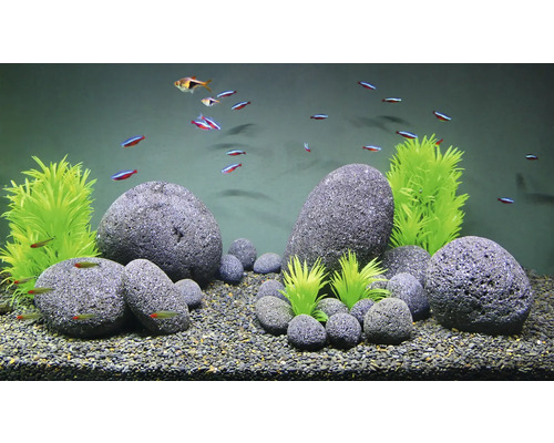 Aquarium mit Fischen, Steinen und Kunstpflanzen