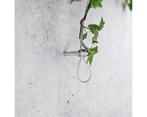 Support de câble en acier inoxydable sur un mur avec des plantes