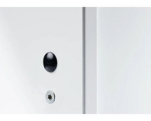 Detailaufnahme einer Schraube mit Abdeckkappe auf einer Oberfläche