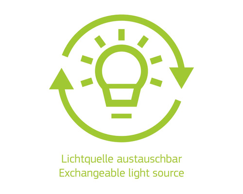 Austauschbare Lichtquelle Symbol