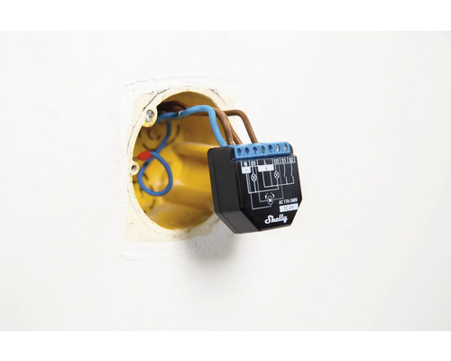 Shelly Logo mit angeschlossener Verkabelung in der Wanddose