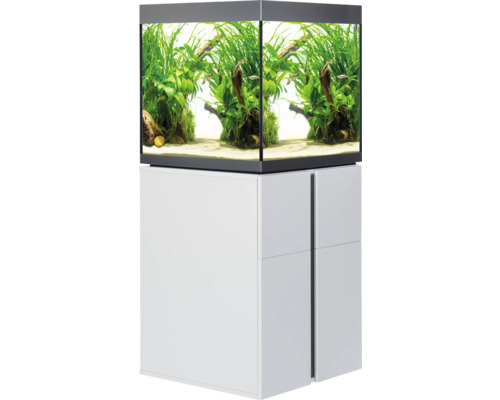 Aquarium avec plantes et poissons sur un meuble bas blanc
